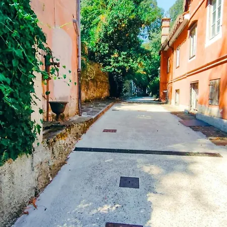 Galleria 16 公寓 *