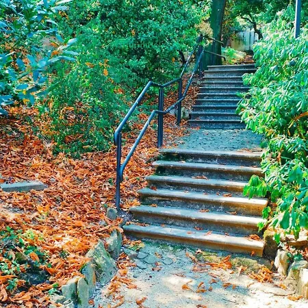 Galleria 16 * Trieszt