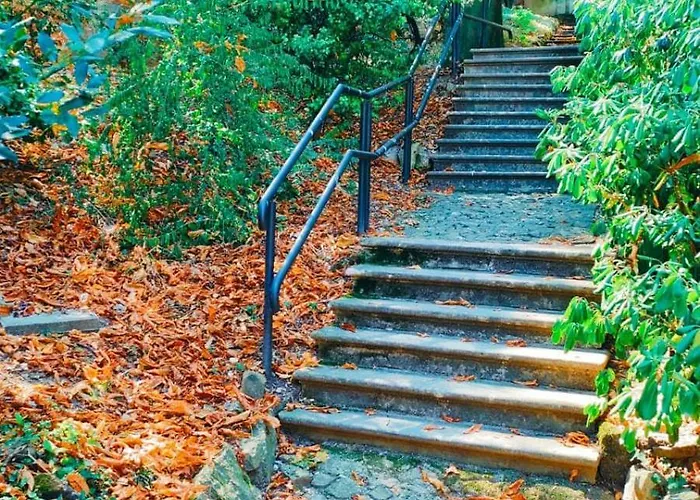 Galleria 16 * Trieste